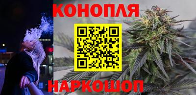 крисы Будённовск