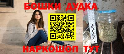 крисы Будённовск