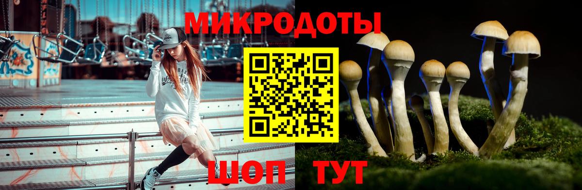 Нерюнгри  Псилоцибиновые грибы Psilocybe  Вход с VPN 